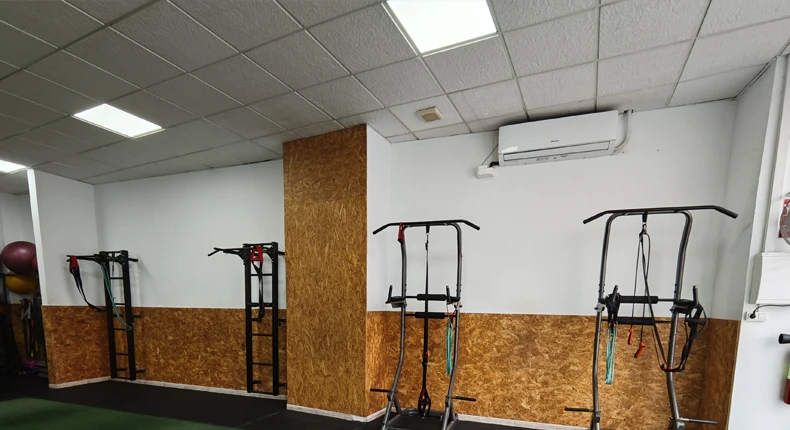 Estructuras de entrenamiento con TRX y barras para calistenia en el gimnasio Performante